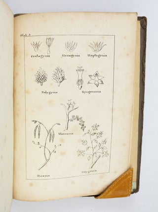 THE COMPANION FOR THE ORCHARD.