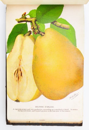 NO 2579: CHROMOLITHOGRAPH PLATE BOOK ILLUSTRATING FRUIT-BEARING PLANTS AVAILABLE FROM C. W. STUART & CO., NEWARK, N.Y.