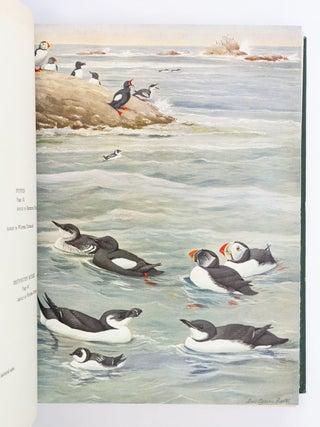 BIRDS OF MASSACHUSETTS AND OTHER NEW ENGLAND STATES.