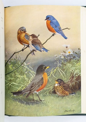 BIRDS OF MASSACHUSETTS AND OTHER NEW ENGLAND STATES.