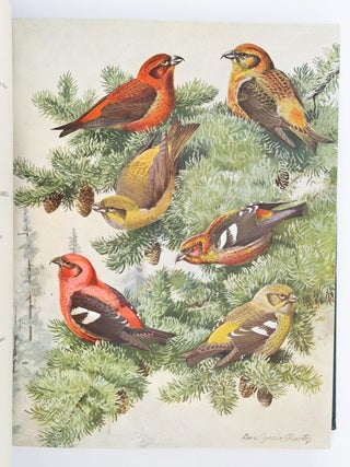 BIRDS OF MASSACHUSETTS AND OTHER NEW ENGLAND STATES.