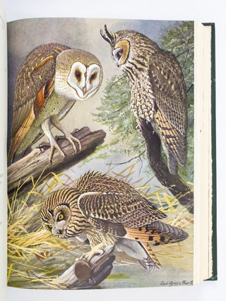 BIRDS OF MASSACHUSETTS AND OTHER NEW ENGLAND STATES.