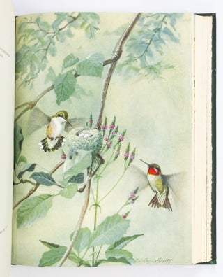 BIRDS OF MASSACHUSETTS AND OTHER NEW ENGLAND STATES.