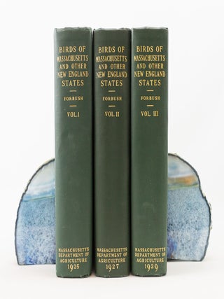 BIRDS OF MASSACHUSETTS AND OTHER NEW ENGLAND STATES.
