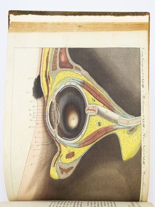 BILDERBUCH FÜR KINDER.