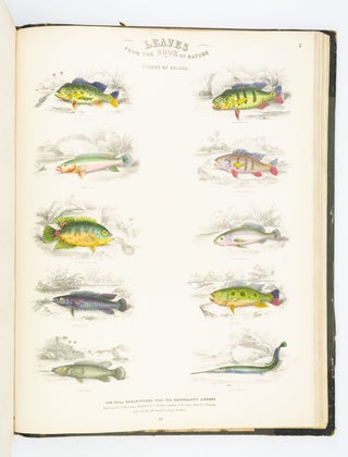 LEAVES FROM THE BOOK OF NATURE, CONTAINING THE PRINCIPAL ILLUSTRATIONS IN JARDINE'S NATURALIST'S LIBRARY.