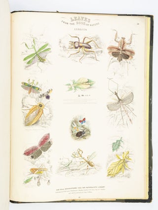 LEAVES FROM THE BOOK OF NATURE, CONTAINING THE PRINCIPAL ILLUSTRATIONS IN JARDINE'S NATURALIST'S LIBRARY.