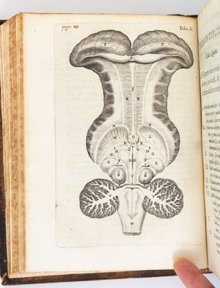 DE ANIMA BRUTORUM QUAE HOMINIS VITALIS AC SENSITIVA EST, EXERCITATIONES DUAE.