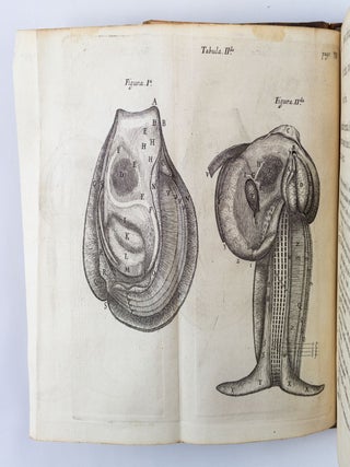 DE ANIMA BRUTORUM QUAE HOMINIS VITALIS AC SENSITIVA EST, EXERCITATIONES DUAE.