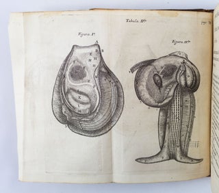 DE ANIMA BRUTORUM QUAE HOMINIS VITALIS AC SENSITIVA EST, EXERCITATIONES DUAE.