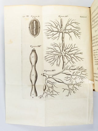 DE ANIMA BRUTORUM QUAE HOMINIS VITALIS AC SENSITIVA EST, EXERCITATIONES DUAE.