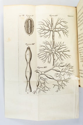 DE ANIMA BRUTORUM QUAE HOMINIS VITALIS AC SENSITIVA EST, EXERCITATIONES DUAE.