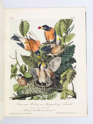 THE BIRDS OF AMERICA, FROM DRAWINGS MADE IN THE UNITED STATES AND THEIR TERRITORIES. JOHN JAMES AUDUBON.