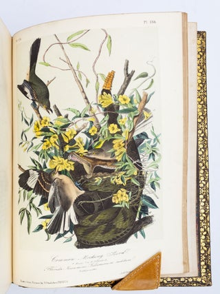 THE BIRDS OF AMERICA, FROM DRAWINGS MADE IN THE UNITED STATES AND THEIR TERRITORIES.