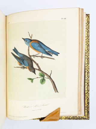 THE BIRDS OF AMERICA, FROM DRAWINGS MADE IN THE UNITED STATES AND THEIR TERRITORIES.