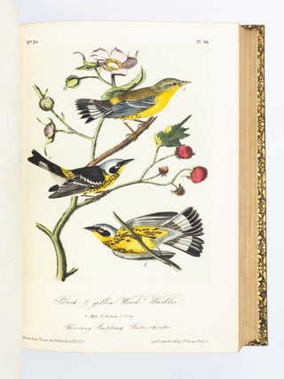 THE BIRDS OF AMERICA, FROM DRAWINGS MADE IN THE UNITED STATES AND THEIR TERRITORIES.