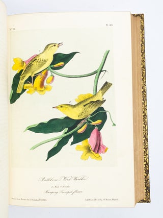 THE BIRDS OF AMERICA, FROM DRAWINGS MADE IN THE UNITED STATES AND THEIR TERRITORIES.