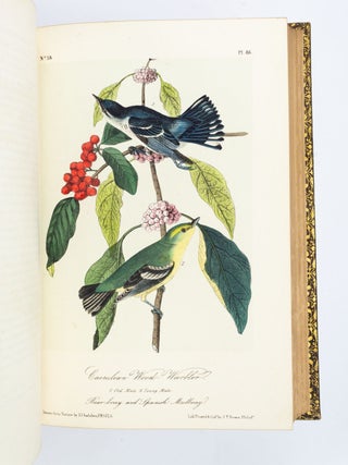 THE BIRDS OF AMERICA, FROM DRAWINGS MADE IN THE UNITED STATES AND THEIR TERRITORIES.