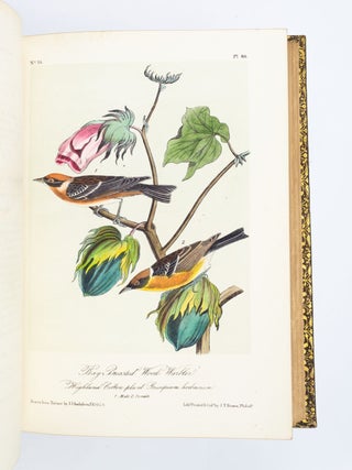 THE BIRDS OF AMERICA, FROM DRAWINGS MADE IN THE UNITED STATES AND THEIR TERRITORIES.
