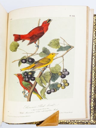 THE BIRDS OF AMERICA, FROM DRAWINGS MADE IN THE UNITED STATES AND THEIR TERRITORIES.