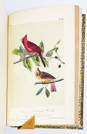 THE BIRDS OF AMERICA, FROM DRAWINGS MADE IN THE UNITED STATES AND THEIR TERRITORIES.