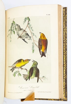 THE BIRDS OF AMERICA, FROM DRAWINGS MADE IN THE UNITED STATES AND THEIR TERRITORIES.