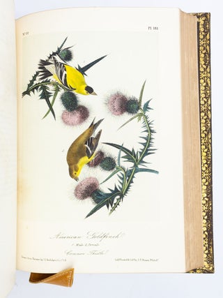 THE BIRDS OF AMERICA, FROM DRAWINGS MADE IN THE UNITED STATES AND THEIR TERRITORIES.