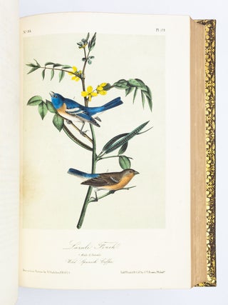 THE BIRDS OF AMERICA, FROM DRAWINGS MADE IN THE UNITED STATES AND THEIR TERRITORIES.