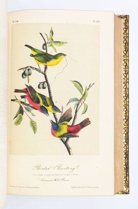 THE BIRDS OF AMERICA, FROM DRAWINGS MADE IN THE UNITED STATES AND THEIR TERRITORIES.
