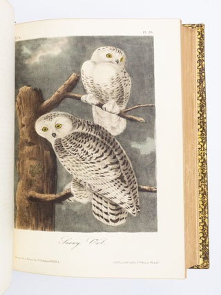 THE BIRDS OF AMERICA, FROM DRAWINGS MADE IN THE UNITED STATES AND THEIR TERRITORIES.