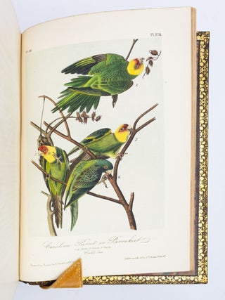 THE BIRDS OF AMERICA, FROM DRAWINGS MADE IN THE UNITED STATES AND THEIR TERRITORIES.