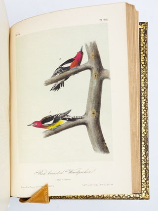 THE BIRDS OF AMERICA, FROM DRAWINGS MADE IN THE UNITED STATES AND THEIR TERRITORIES.
