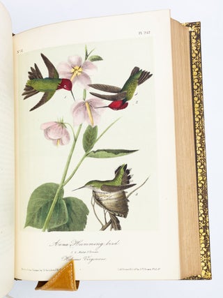 THE BIRDS OF AMERICA, FROM DRAWINGS MADE IN THE UNITED STATES AND THEIR TERRITORIES.