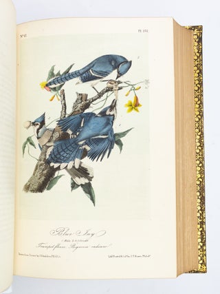 THE BIRDS OF AMERICA, FROM DRAWINGS MADE IN THE UNITED STATES AND THEIR TERRITORIES.