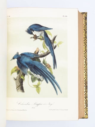 THE BIRDS OF AMERICA, FROM DRAWINGS MADE IN THE UNITED STATES AND THEIR TERRITORIES.