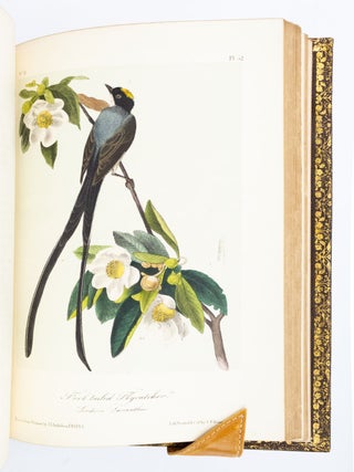 THE BIRDS OF AMERICA, FROM DRAWINGS MADE IN THE UNITED STATES AND THEIR TERRITORIES.