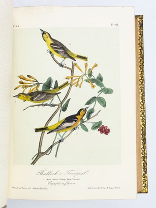 THE BIRDS OF AMERICA, FROM DRAWINGS MADE IN THE UNITED STATES AND THEIR TERRITORIES.