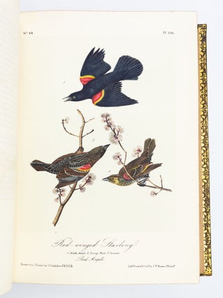 THE BIRDS OF AMERICA, FROM DRAWINGS MADE IN THE UNITED STATES AND THEIR TERRITORIES.