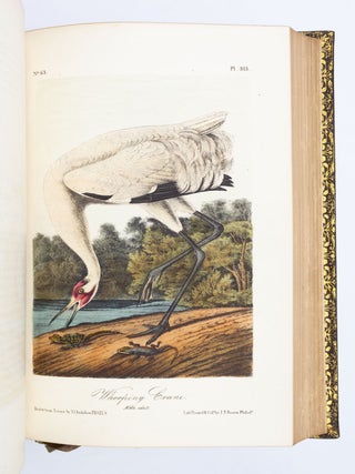 THE BIRDS OF AMERICA, FROM DRAWINGS MADE IN THE UNITED STATES AND THEIR TERRITORIES.