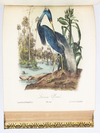 THE BIRDS OF AMERICA, FROM DRAWINGS MADE IN THE UNITED STATES AND THEIR TERRITORIES.