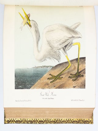 THE BIRDS OF AMERICA, FROM DRAWINGS MADE IN THE UNITED STATES AND THEIR TERRITORIES.