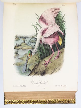 THE BIRDS OF AMERICA, FROM DRAWINGS MADE IN THE UNITED STATES AND THEIR TERRITORIES.