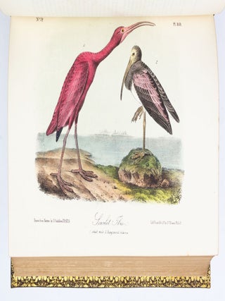 THE BIRDS OF AMERICA, FROM DRAWINGS MADE IN THE UNITED STATES AND THEIR TERRITORIES.