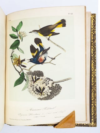 THE BIRDS OF AMERICA, FROM DRAWINGS MADE IN THE UNITED STATES AND THEIR TERRITORIES.