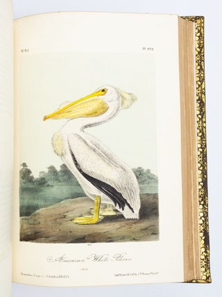 THE BIRDS OF AMERICA, FROM DRAWINGS MADE IN THE UNITED STATES AND THEIR TERRITORIES.