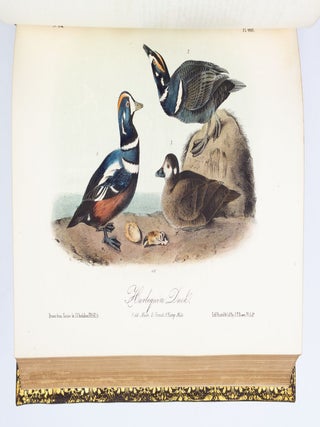 THE BIRDS OF AMERICA, FROM DRAWINGS MADE IN THE UNITED STATES AND THEIR TERRITORIES.
