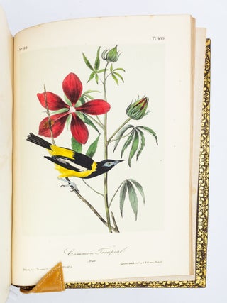 THE BIRDS OF AMERICA, FROM DRAWINGS MADE IN THE UNITED STATES AND THEIR TERRITORIES.