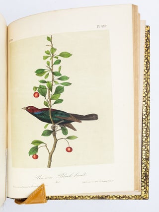 THE BIRDS OF AMERICA, FROM DRAWINGS MADE IN THE UNITED STATES AND THEIR TERRITORIES.