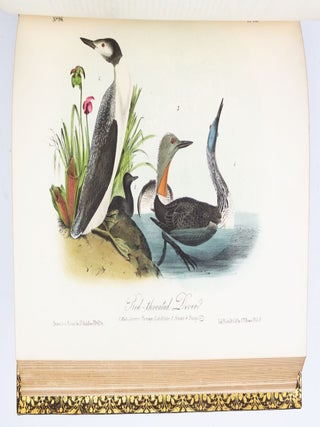 THE BIRDS OF AMERICA, FROM DRAWINGS MADE IN THE UNITED STATES AND THEIR TERRITORIES.