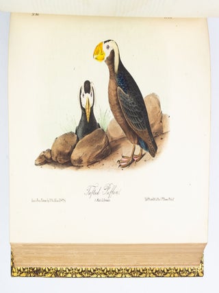THE BIRDS OF AMERICA, FROM DRAWINGS MADE IN THE UNITED STATES AND THEIR TERRITORIES.